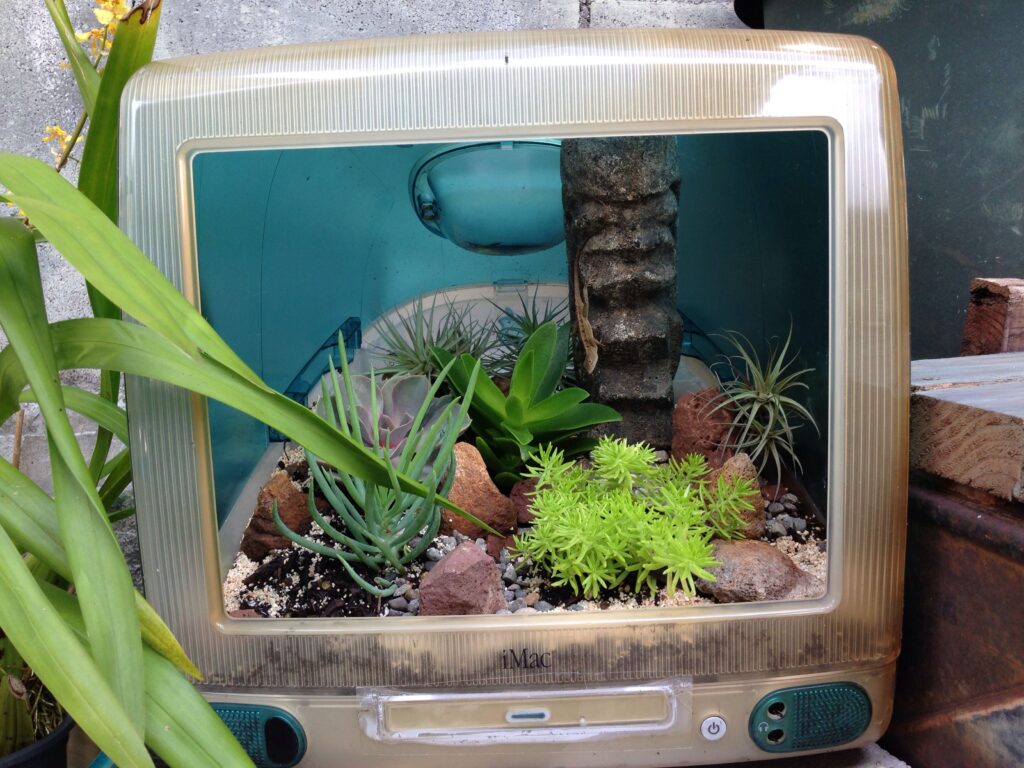 D547a34eb236e281a665b8066e4b4ae8