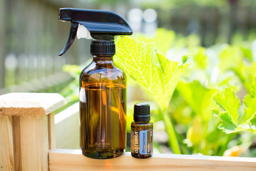 Garden Spray With Essential Oil Scaled