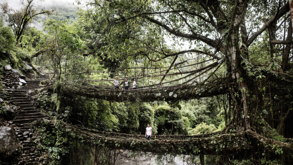 India - The Living Root Bridges
