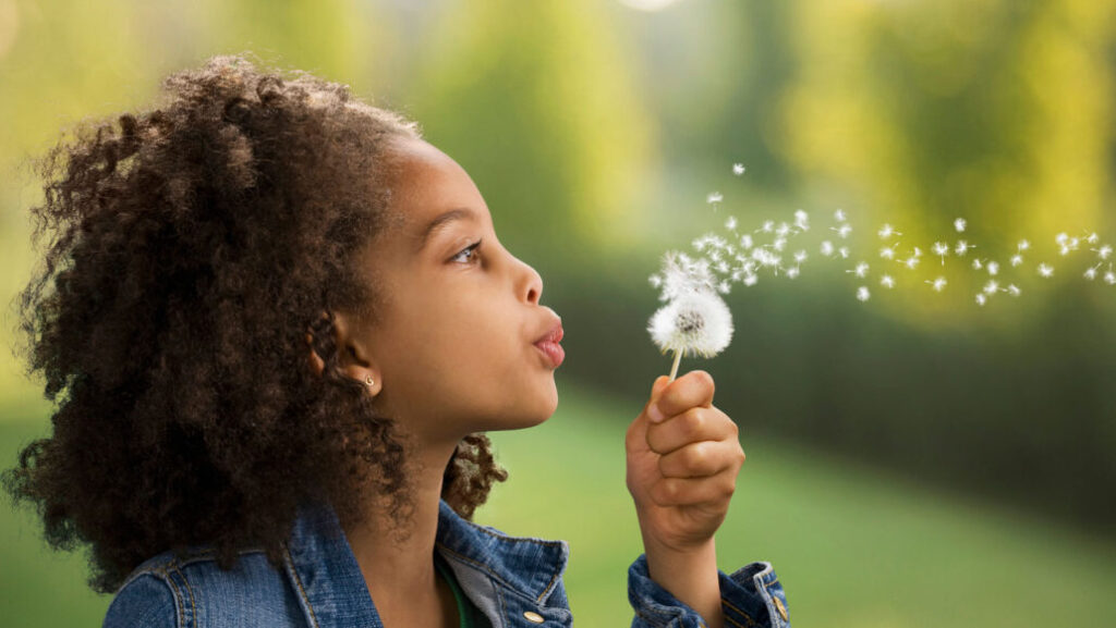 Making A Wish On A Dandelion