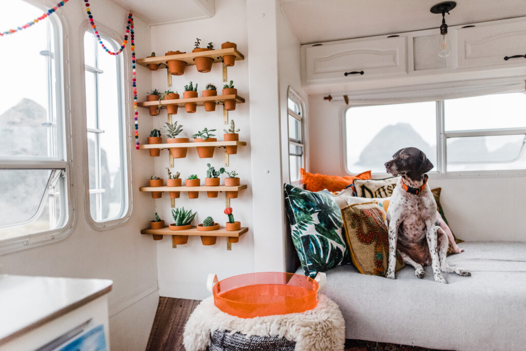 Maximized Vertical Space