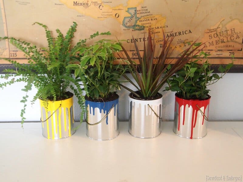 Paint Dipped Paint Cans As Cute Planters Sawdust And Embryos.jpg