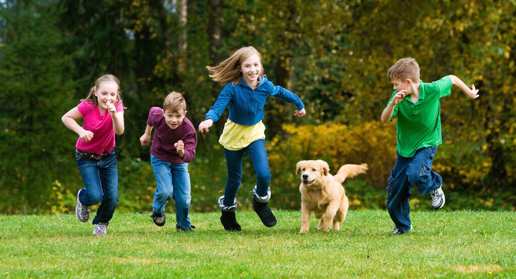 Playing With Pets
