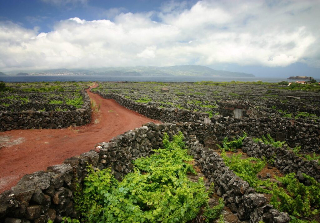 Portugal - The Volcanic Vineyards Of Pico Island