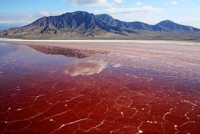 Tanzania - The Red Hot Lake (lake Natron)