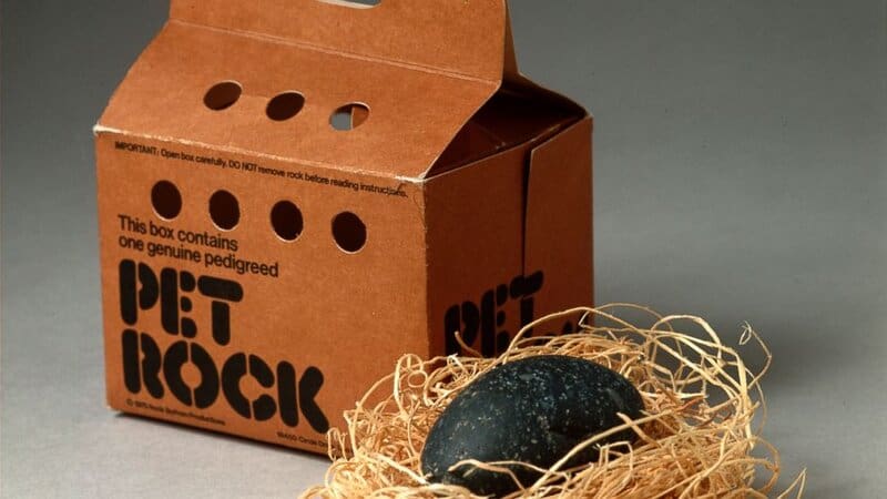 The Pet Rock