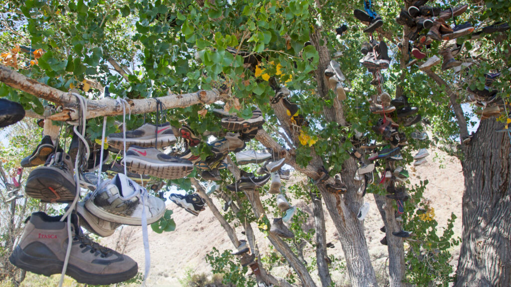 The Shoe Tree - Middlegate, Nevada