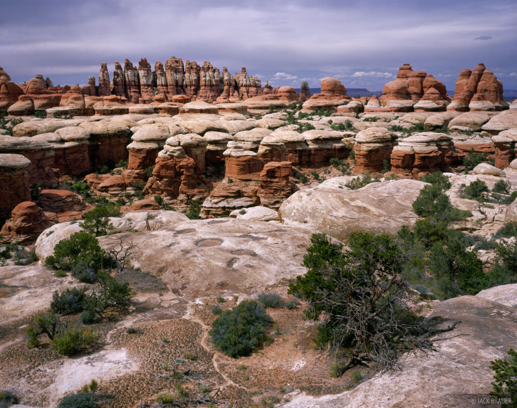 Elephant Canyon Overcast