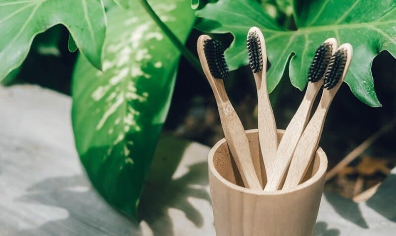 Bamboo Toothbrushes