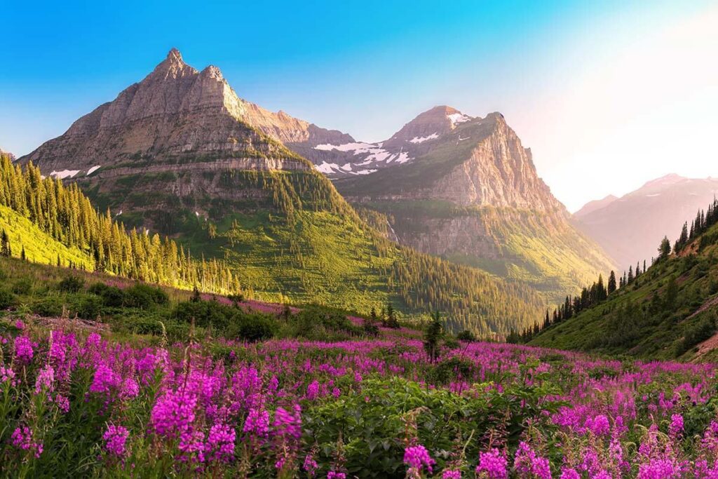 Best National Parks To Visit In The United States Of America