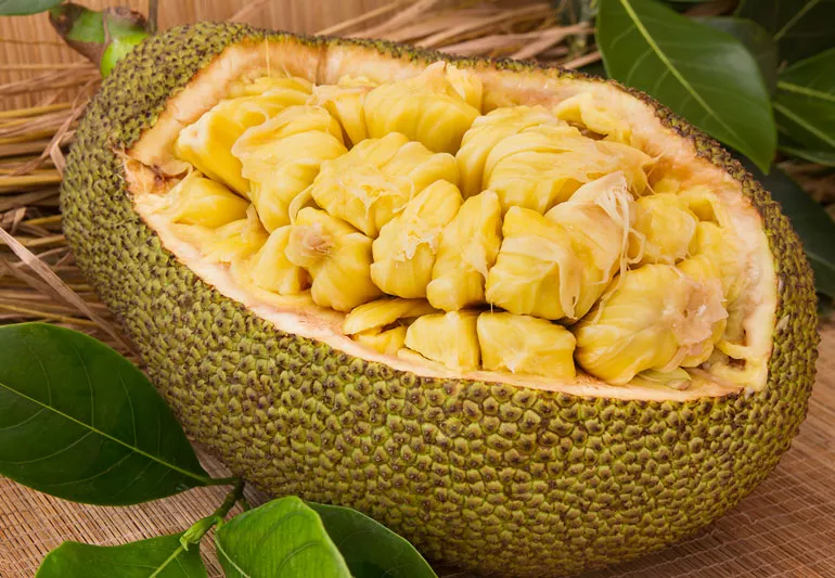 Eatjackfruit 823672534 770x533 1 Jpg