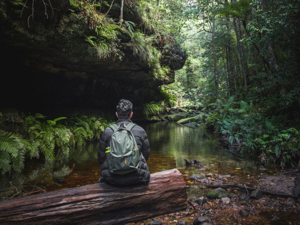 Forest Bathing (shinrin Yoku)