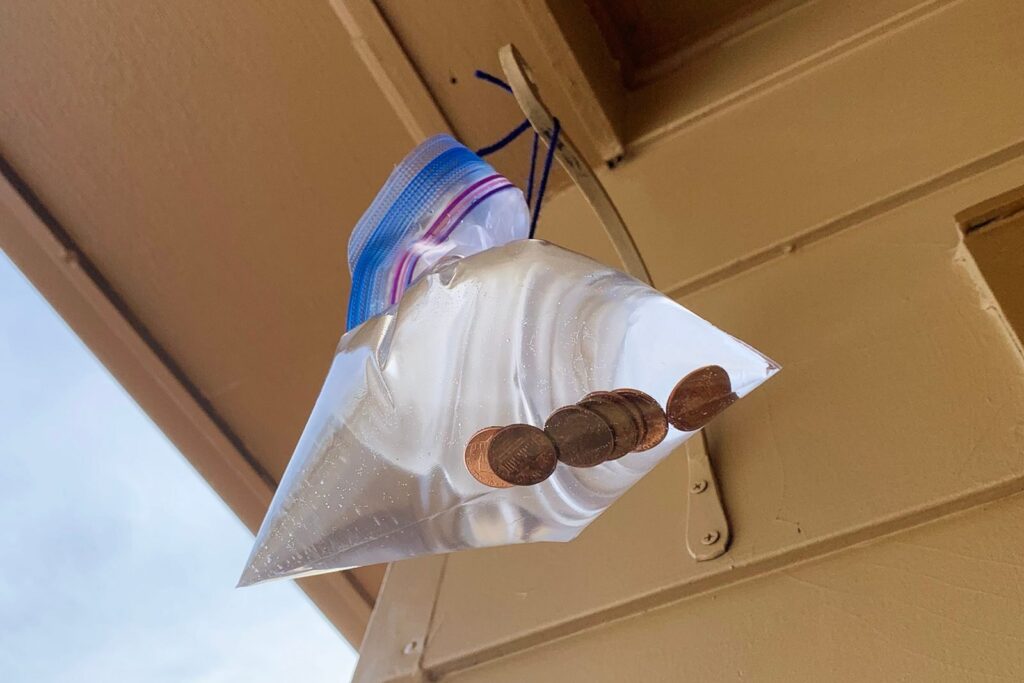 Hanging A Bag Of Water With Pennies To Repel Flies