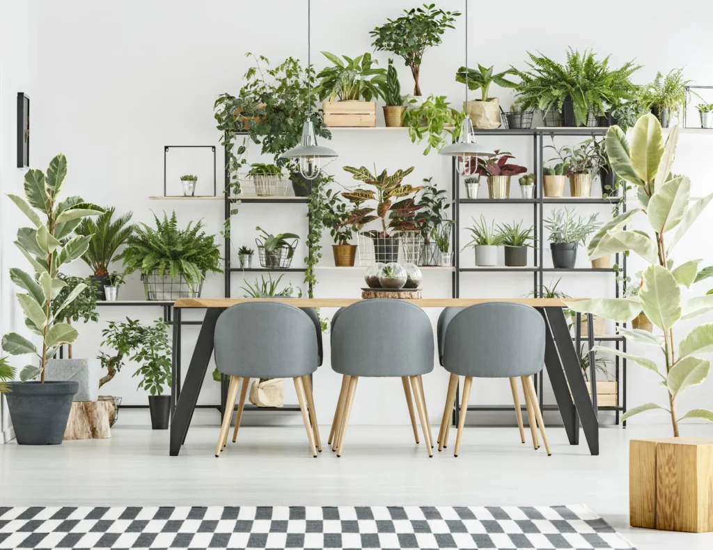 Ignoring The Power Of Plants