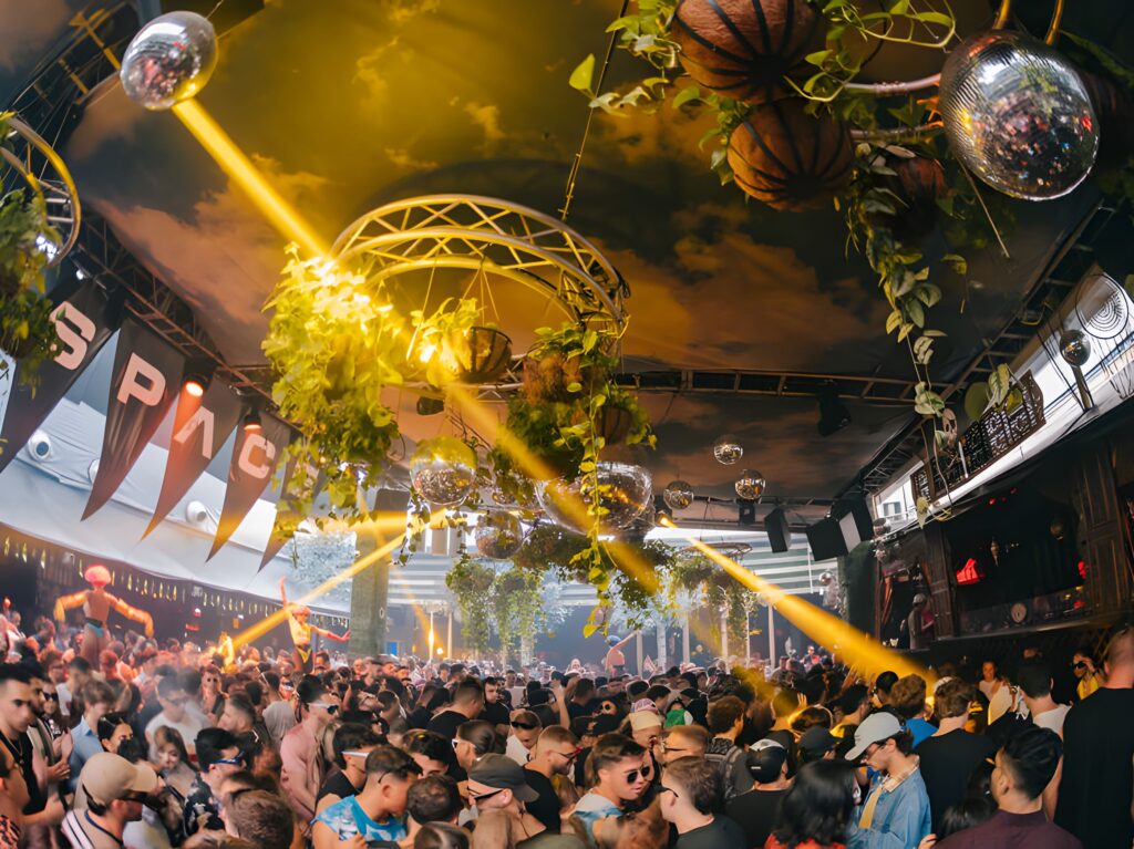 Miamiflthewildpartyanimal (1)