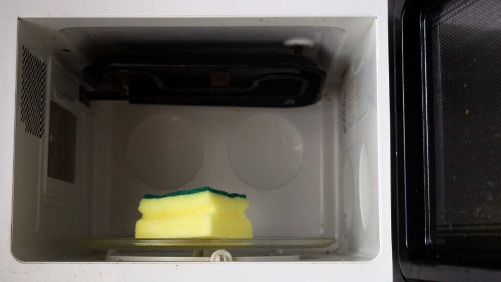 Microwave A Sponge To Kill Bacteria