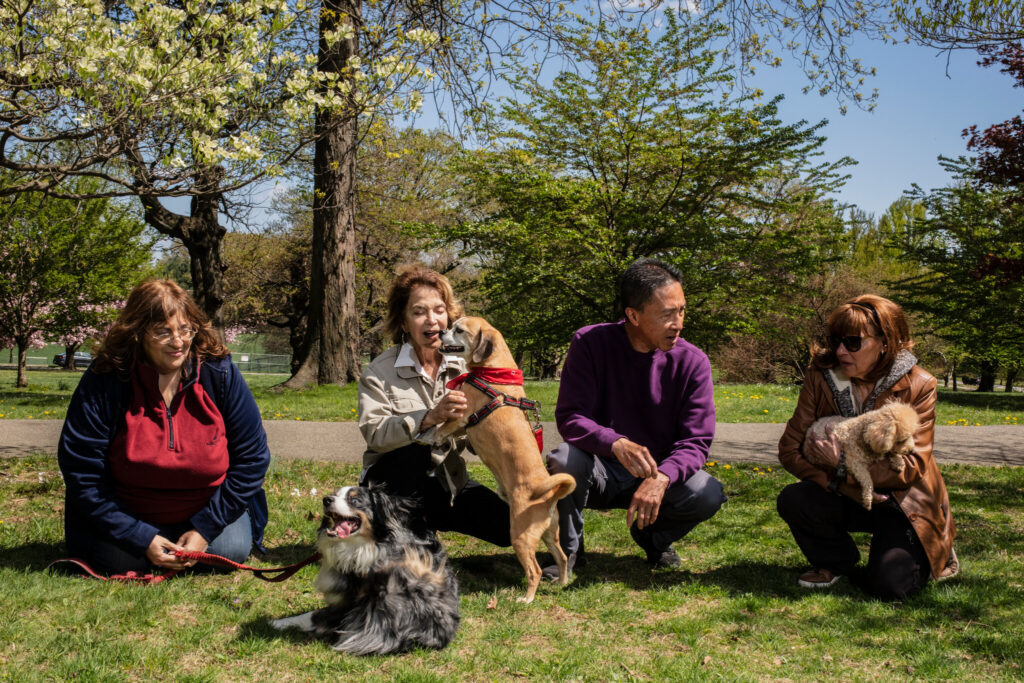 Mini Dog Parks