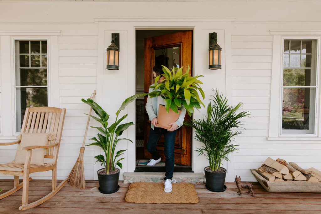 No Plants