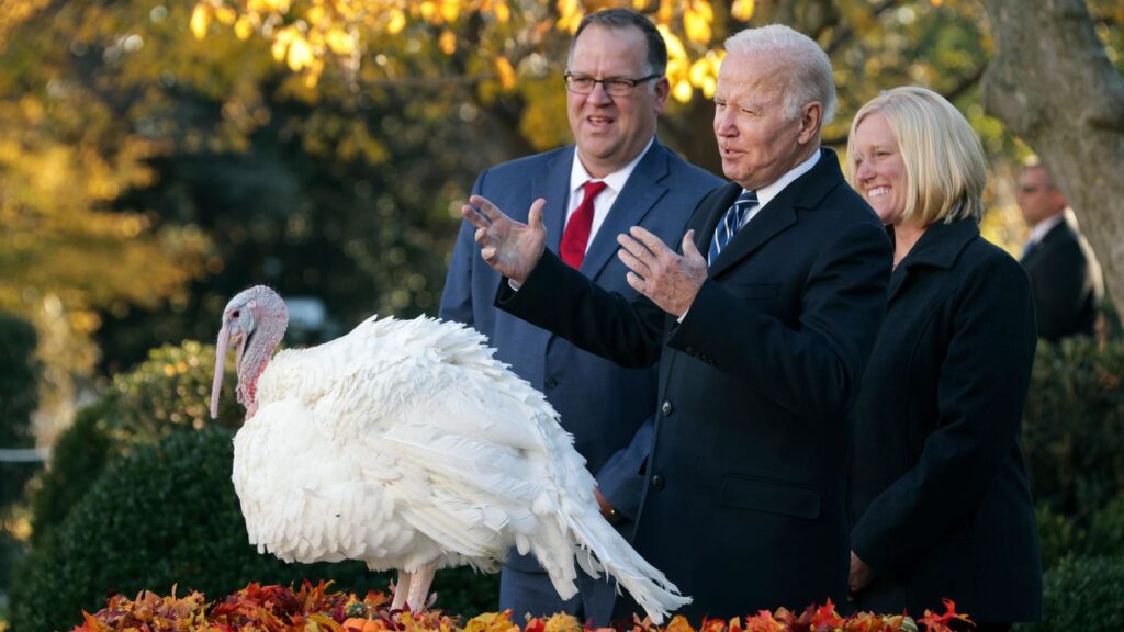 Politicians Pardon Turkeys On Live Tv
