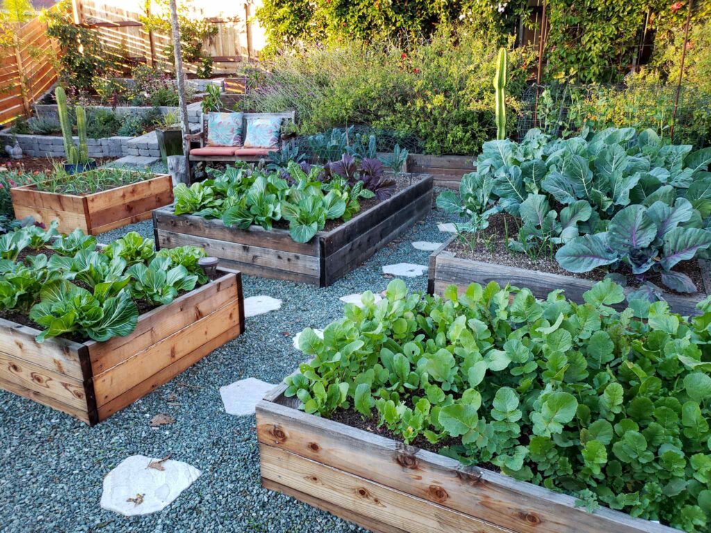 Raised Bed Rentals