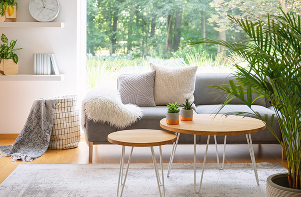 Scandinavian Aesthetic