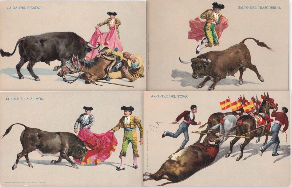 The Argentine Bulls Postcard (1900)