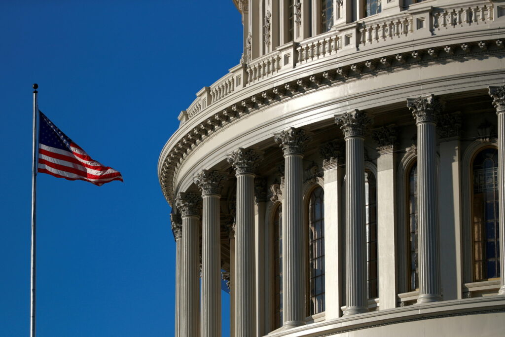 The Political System Democracy In Action