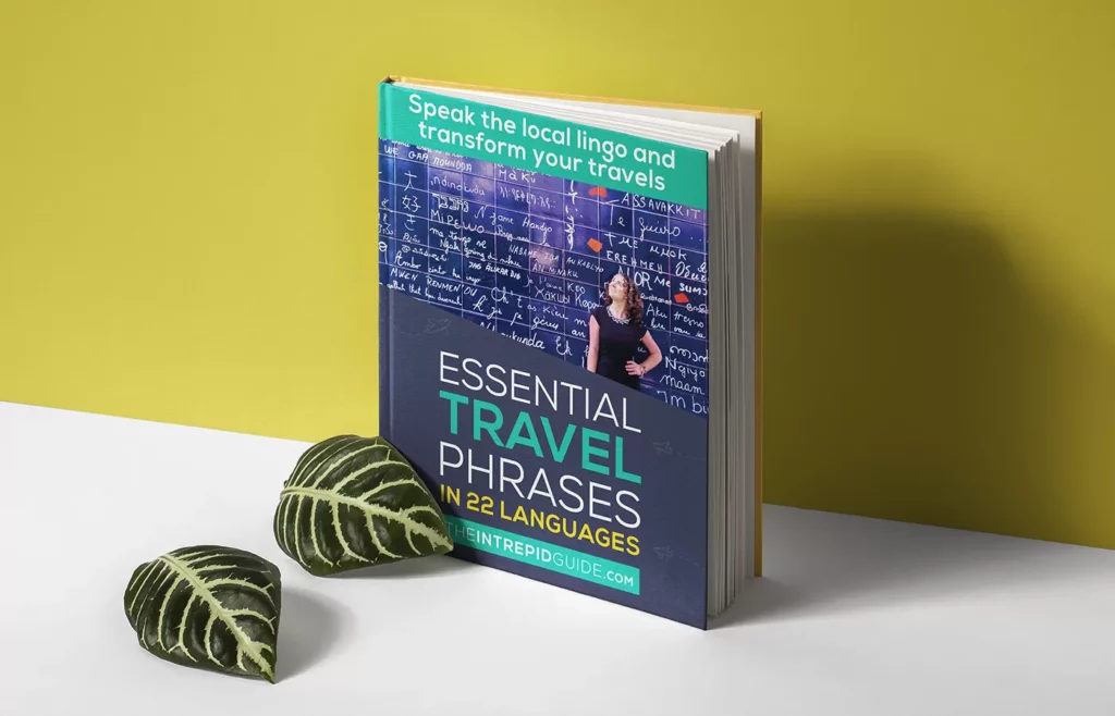 Travel Phrases In 22 Languages Guide