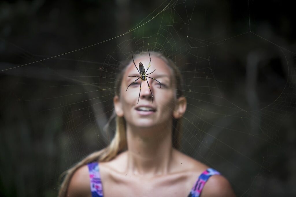Walking Into A Spider Web
