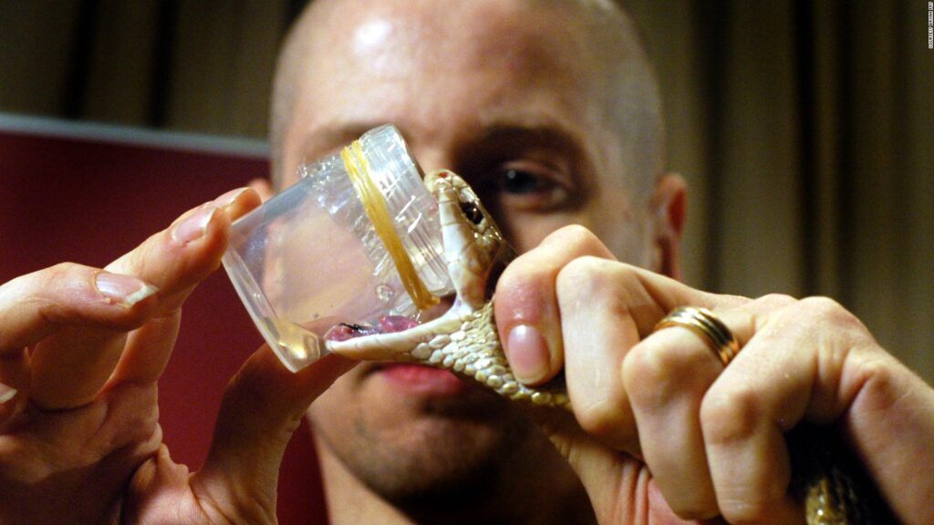 150626100849 Snake Venom Capture Full 169