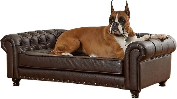 8. Sofa-Style Dog Beds for Pampered Pooches