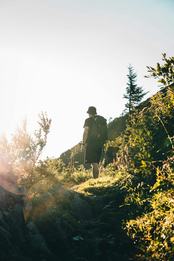 A hiker pauses on a sunlit trail
