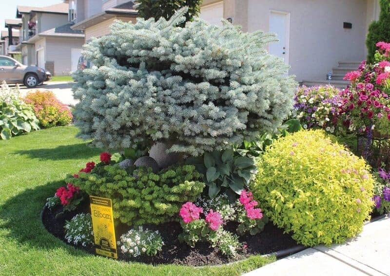 5. Disputes Over Landscaping