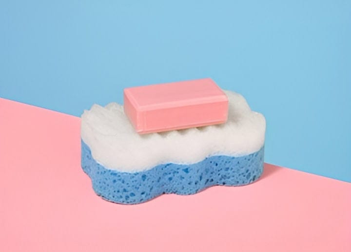 11. Sponge as a Soap Dish