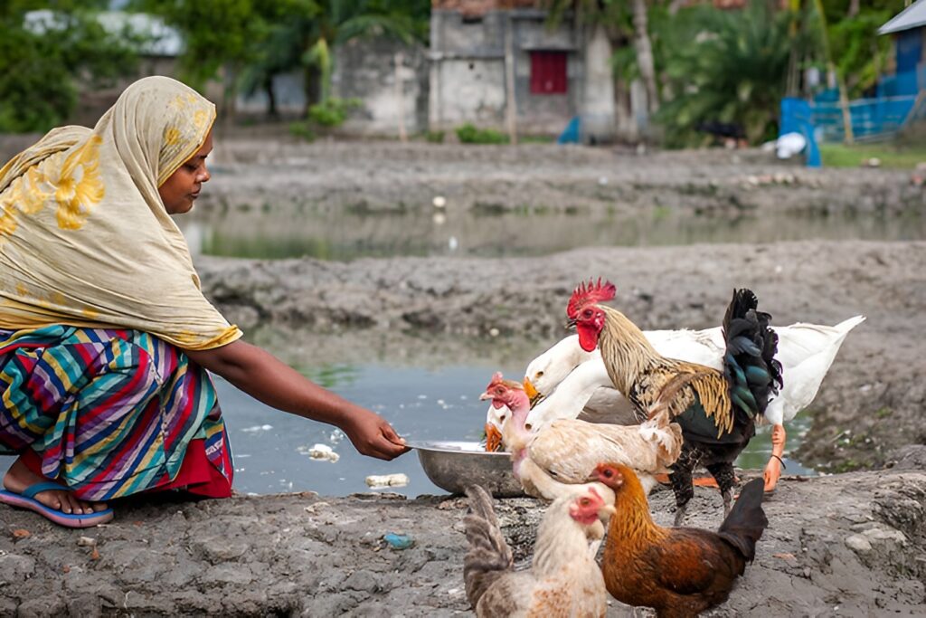Bangladesh (rural Villages)