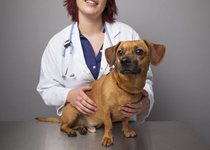 14. Changes in Weight