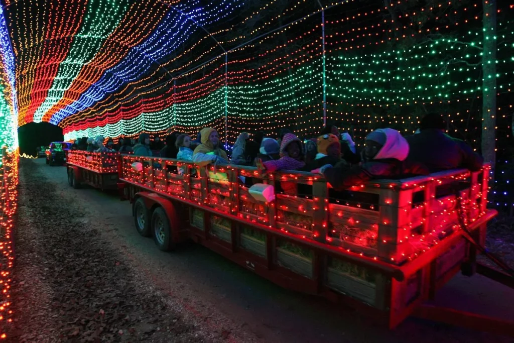 Christmas Light Hayrides