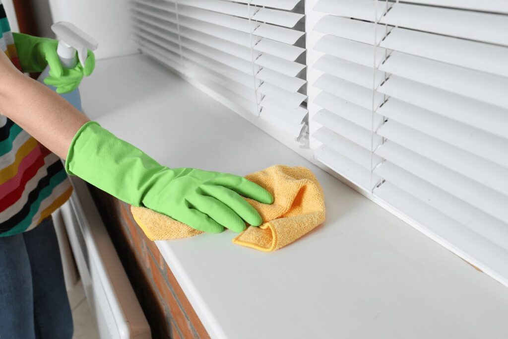 Clean Windows And Window Sills