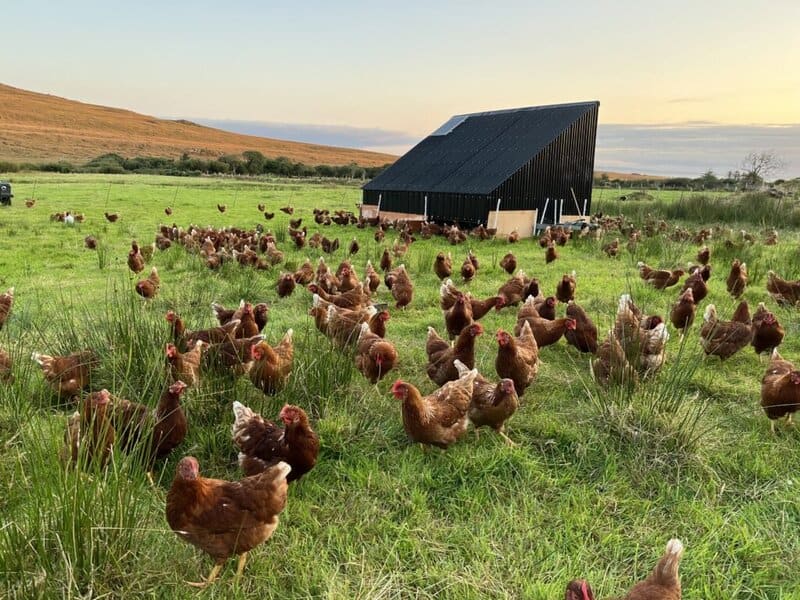 Dingle Peninsula, Ireland