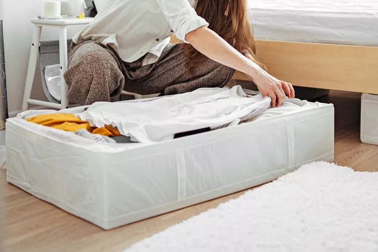 Download 2025 05 26t120858.505