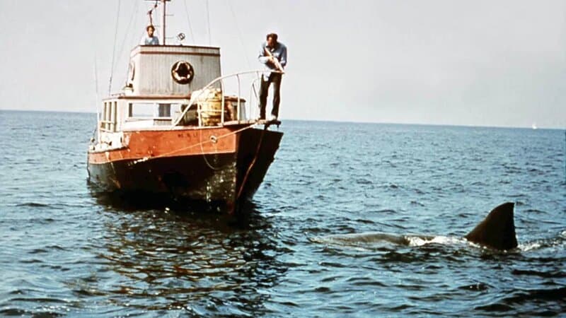 Download 2025 05 27t010359.903