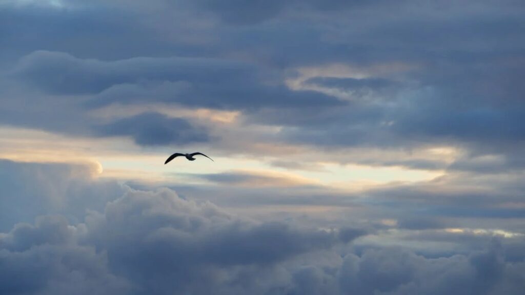 Download 2025 05 28t144101.192