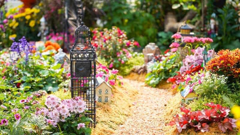 The 20 Most Beautiful Perennial Flowers to Plant in Your Garden