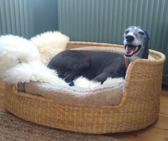 15. Indestructible Dog Beds for Chewers