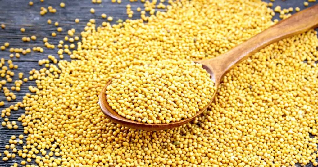 Mustard seeds 4