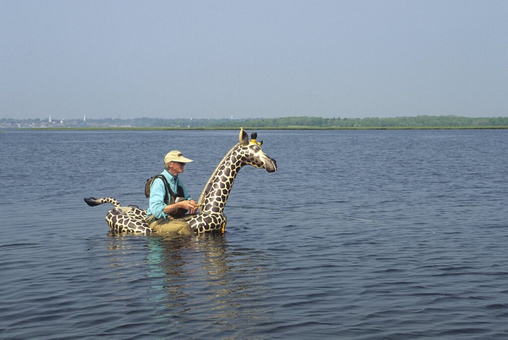 No Fishing While On A Giraffe - Illinois