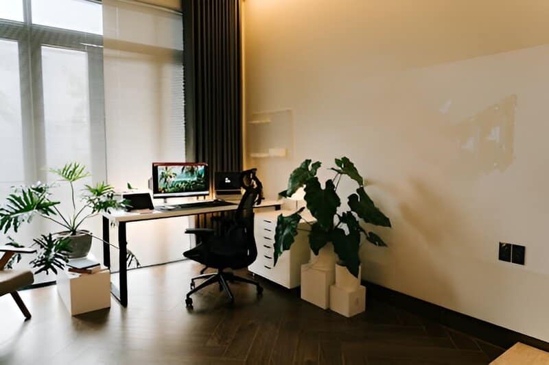 Office nook with calming plants and soft lighting