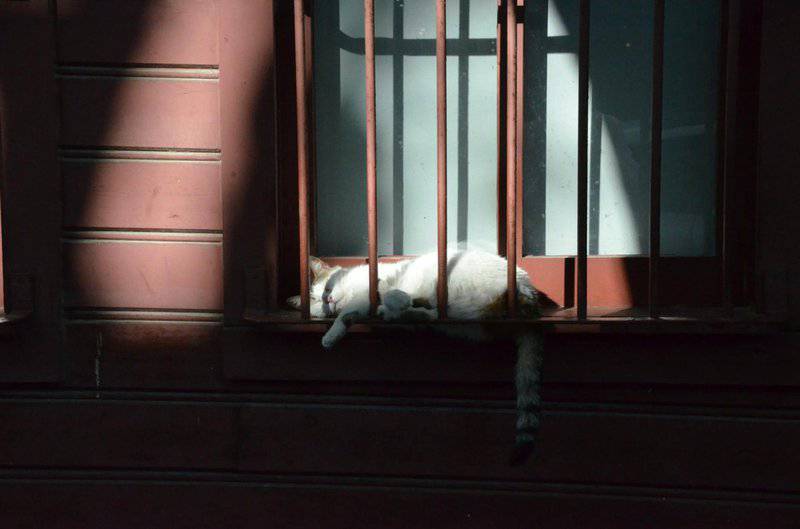 15. Outdoor Enclosures