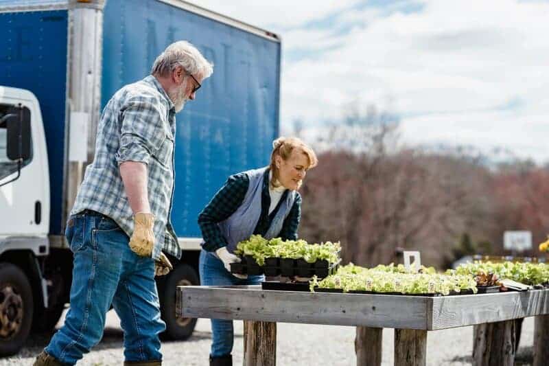 Use Quality Seeds or Seedlings