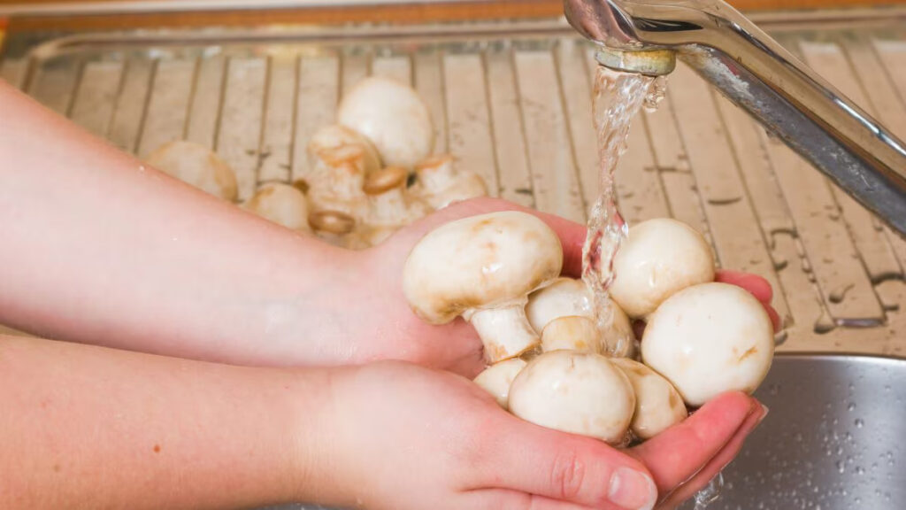 Rubbing Mushrooms With Water Ruins Them
